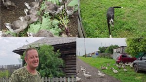 Наш день в деревне .Рекс проказник.
