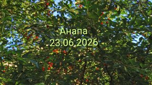 Анапа 23.06.2026