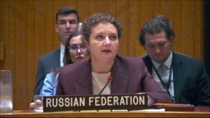 И.о. Постоянного представителя А.М.Евстигнеева на заседании СБ ООН по ситуации в Сирии, 22 июня 2026