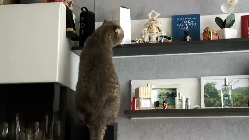 Ну, где моя любимая книжка?