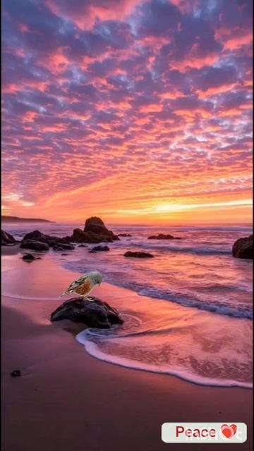Summer evening ❤️