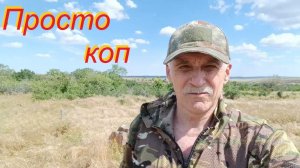 Просто коп