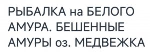 л