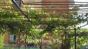 Romi&Home Красота сельской жизни  Радость в простых вещах стиль коттеджкор и кулинария