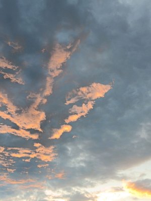 кулинарное шоу