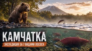 КАМЧАТКА. Экспедиция за 7 видами лосося. Река Ича