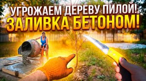 ПРИГРОЗИЛИ ХУРМЕ НОЖОВКОЙ! УРА, МЫ СДЕЛАЛИ ЭТО!💪Площадка для колодца готова.Из города в деревню 931