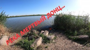 КАРАСЬ НА МЕРТВОМ ДОНЦЕ…