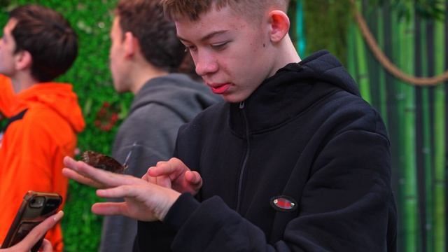 Наш парк🦋 смотреть онлайн