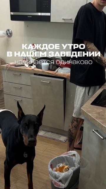 УТРЕННИЕ ТРАДИЦИИ🕖