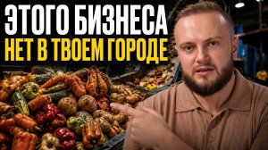 ТОП свободных трендовых бизнес ниш в СНГ / На этих идеях можно заработать миллионы