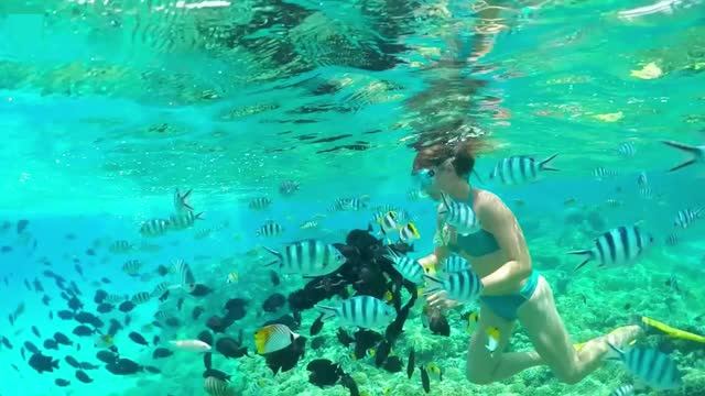 Best Tropical Deep House Mix 2026 ✨ Chill Vocal Summer Vibes смотреть онлайн
