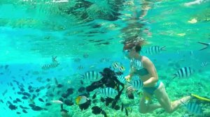 Best Tropical Deep House Mix 2026 ✨ Chill Vocal Summer Vibes