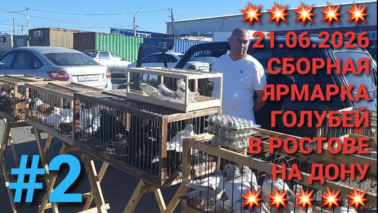 💥💥💥21.06.26 Сборная ярмарка голубей в Ростове на Дону. Птичий рынок. Pigeons Fair. смотреть онлайн