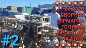 💥💥💥21.06.26 Сборная ярмарка голубей в Ростове на Дону. Птичий рынок. Pigeons Fair.
