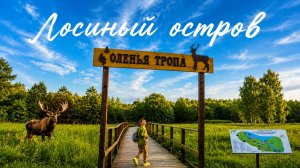Оленья тропа днём и вечером, Лосиный остров 🦌 20.06.2026