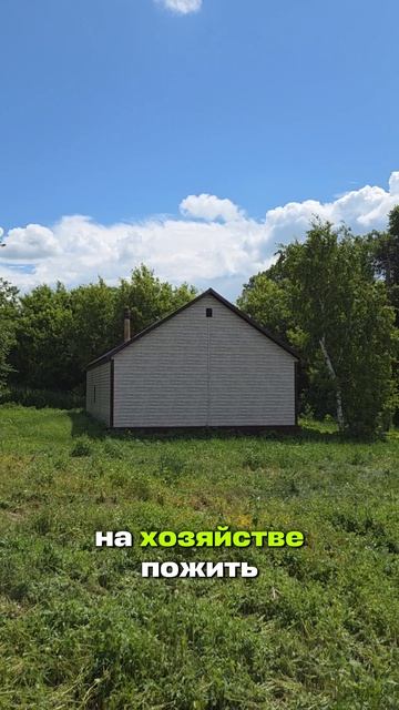 Пасика и подсолнечник #AUM #YogaFerma #сельскоехозяйство #подсолнечник #поле #фермер