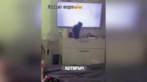 Смех, юмор, ржачь. Часть 10