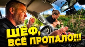 ШЕФ, ВСЁ ПРОПАЛО!!! | Жизнь в деревне | Семья в селе