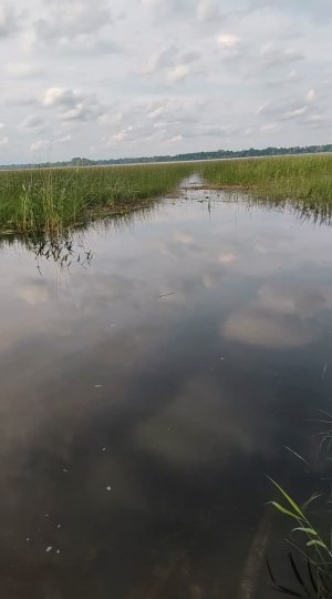 пляж
