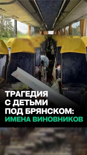 Удар БПЛА по детям: СК России назвал имена виновных в трагедии!