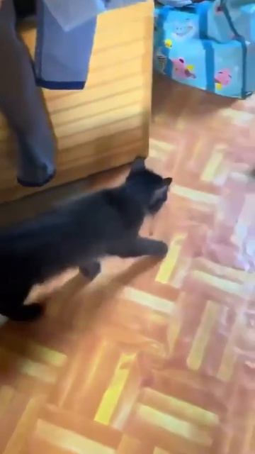 Где кто чей