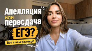 Апелляции и пересдача ЕГЭ по обществознанию: когда стоит идти? Есть ли шанс увеличить балл? | Умскул