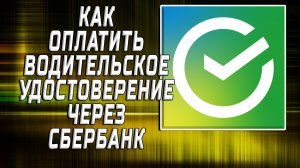 Как оплатить водительское удостоверение через сбербанк