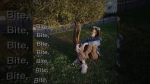 video_19159682150400.mp4