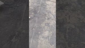 завод «газ-вода» Г. Рубцовск