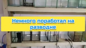 Немного поработал на разводне