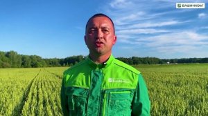 МЫ ТРАВИМ САМИ СЕБЯ! Почему химия на полях становится смертельно опасной?