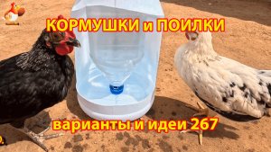 Кормушки и поилки для кур своими руками (267) 🪚✂️ Пошаговая инструкция как сделать 🐔 🐓❣️