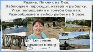 Рязань. Пикник на Оке. Наблюдаем пароходы,катера и рыбалку. Утки попрошайки и голуби без лап. 5 база