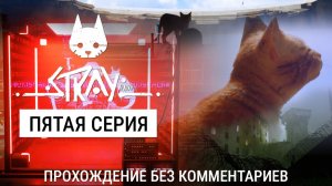 Stray (2022) - Пятая серия (Полное прохождение без комментариев)