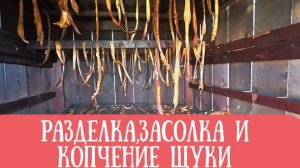 Разделываем,солим и коптим щуку
