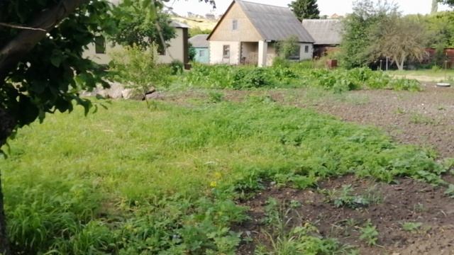 Ендовище Олега Кошевого 75 сад, задний двор огород смотреть онлайн