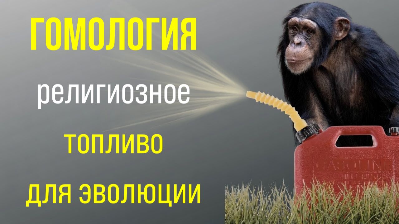 Homology: Гомология: научное доказательство эволюции?
