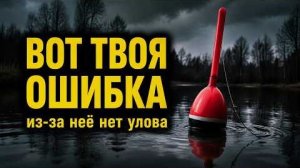 Почему не клюёт поплавок 8 ошибок, которые лишают тебя улова