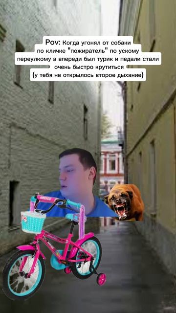 Было? (уезжаешь от собаки)