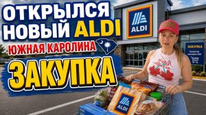 Лиса в Америке. Переезд- Первая ЗАКУПКА -Заполняем пустой холодильник- Южная Каролина