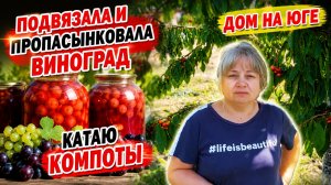 Подвязала и пропасынковала виноград. Катаю компоты.