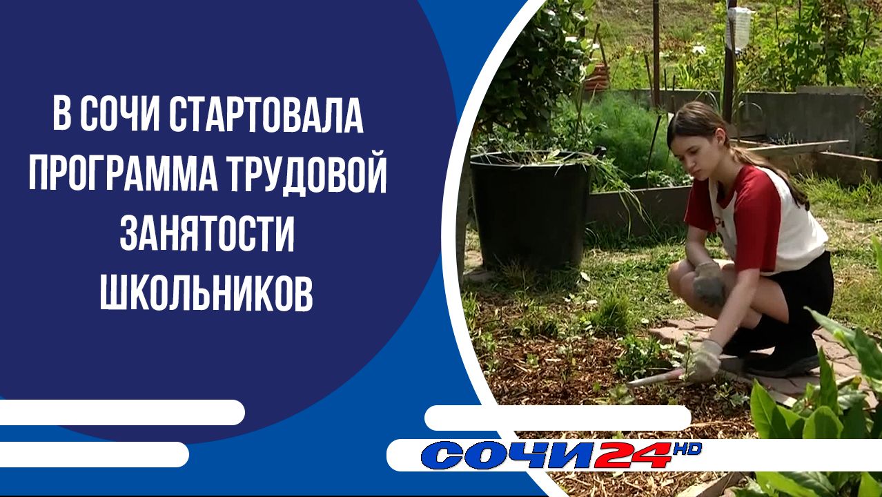 В Сочи стартовала программа трудовой занятости школьников