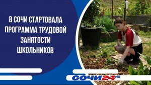 В Сочи стартовала программа трудовой занятости школьников