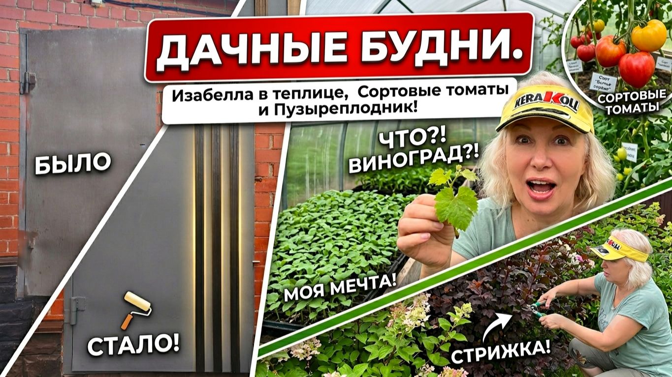 Старая дверь теперь как новая! НЕ ОЖИДАЛА! 😱 Нашла в теплице то, за что хотела платить деньги. смотреть онлайн