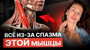 Этот СПАЗМ блокирует лимфу, влияет на отеки лица, морщины на шее, сутулость и поплывший овал