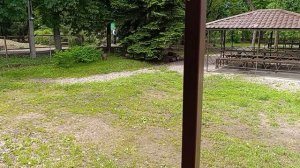 Красивый парк