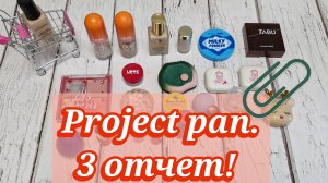 Project pan. 3 отчет! Медленно, но верно!