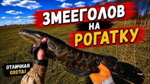 Охота с Рогаткой — Попался Хороший Змееголов!