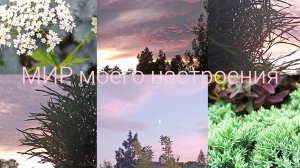 22.06.26 Дача.Белые Ночи можно погулять 😉